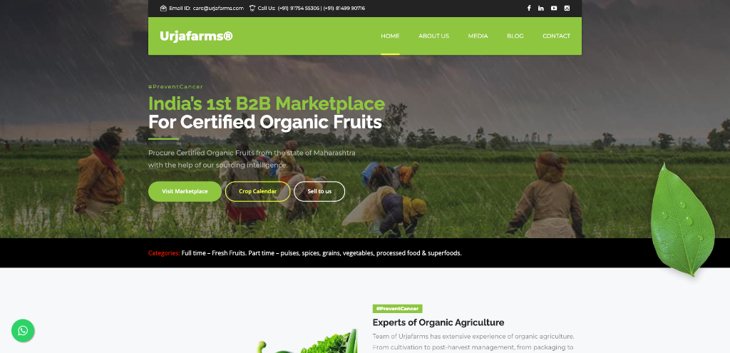 B2B Certified Organic Fruits Marketplace — Urjafarms